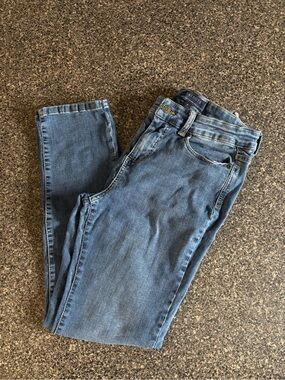 Talbots Medium Blue Skinny Stretch Jeans Size 8P